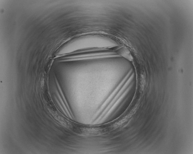 X0000083651257200703051717