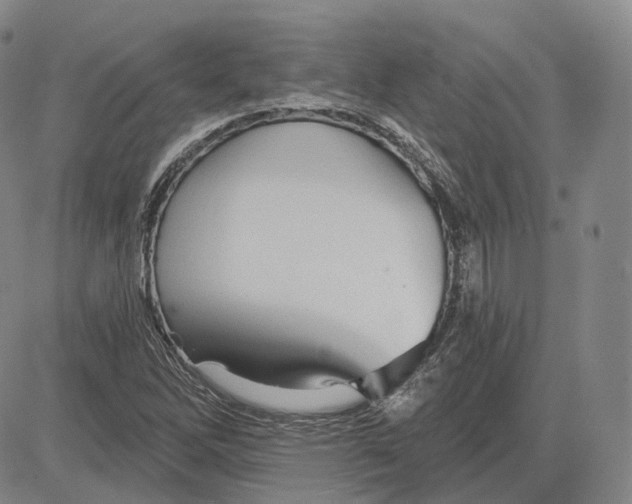 X0000083651262200703051717