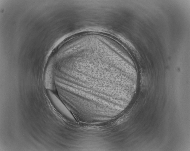 X0000083651272200703051717