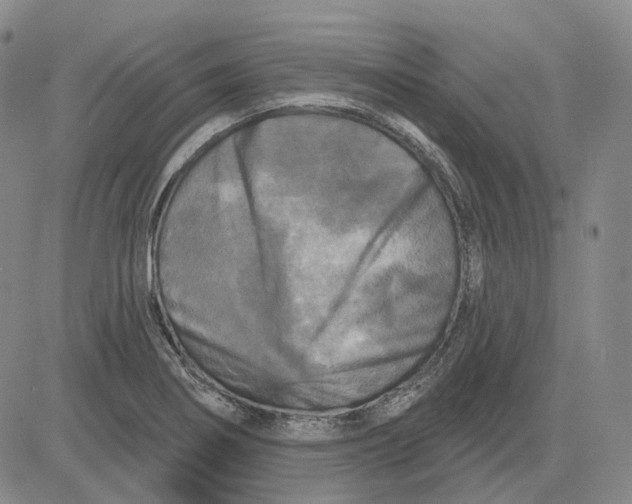 X0000083651274200703051717