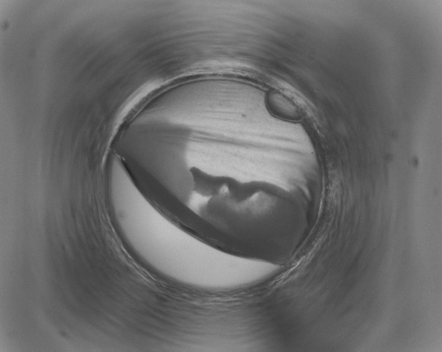 X0000083651275200703051717