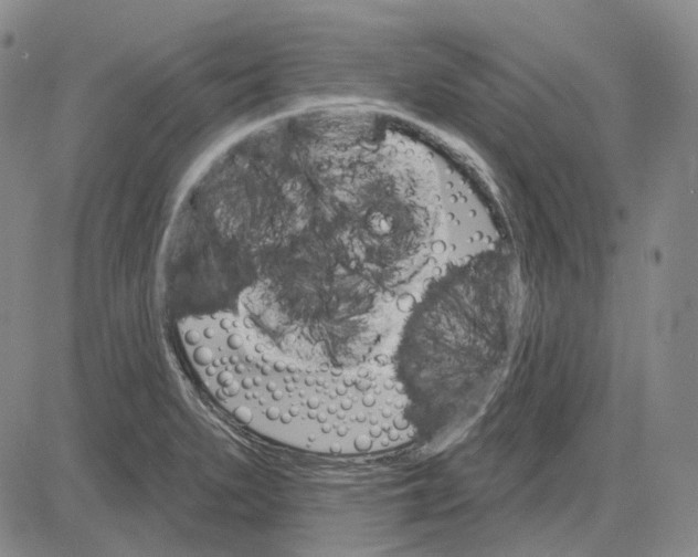 X0000083651279200703051717
