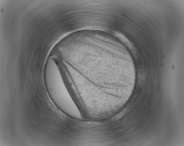 X0000083651284200703051717