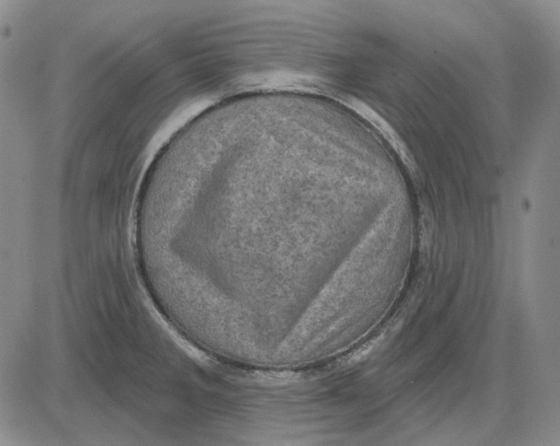 X0000083651285200703051717