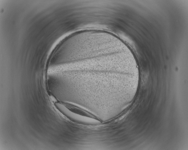 X0000083651288200703051717
