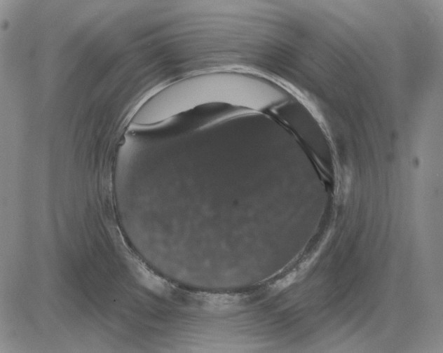 X0000083651289200703051717