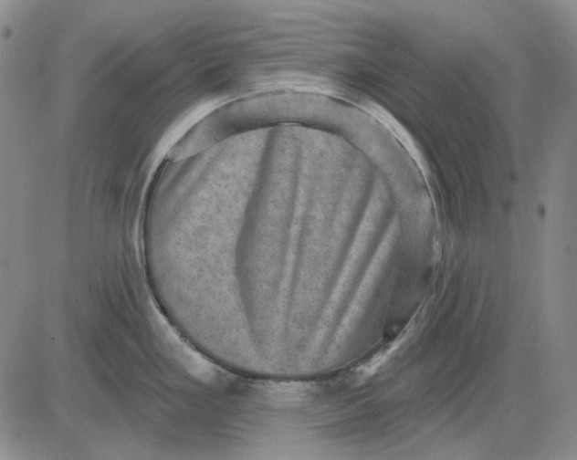 X0000083651293200703051717