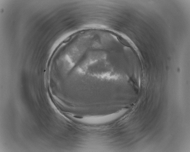 X0000083651295200703051716
