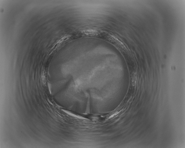 X0000083651298200703051716