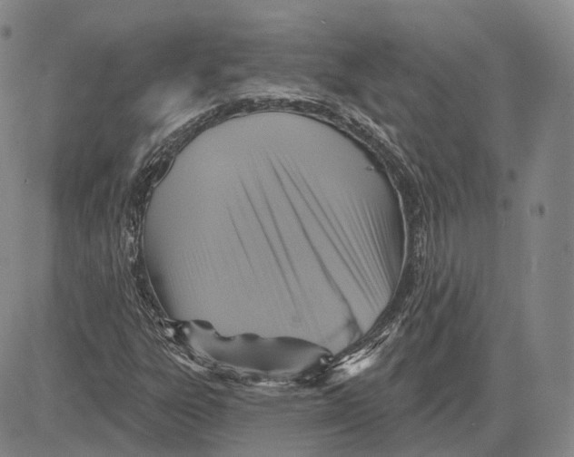 X0000083651303200703051716