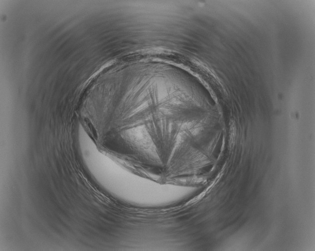 X0000083651305200703051716