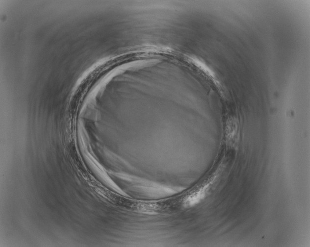 X0000083651310200703051716