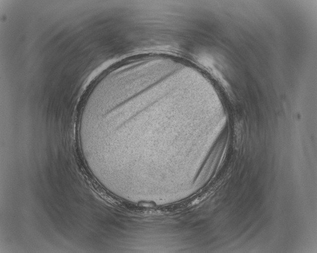 X0000083651316200703051716