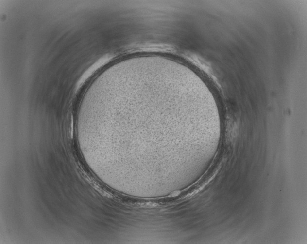 X0000083651317200703051716