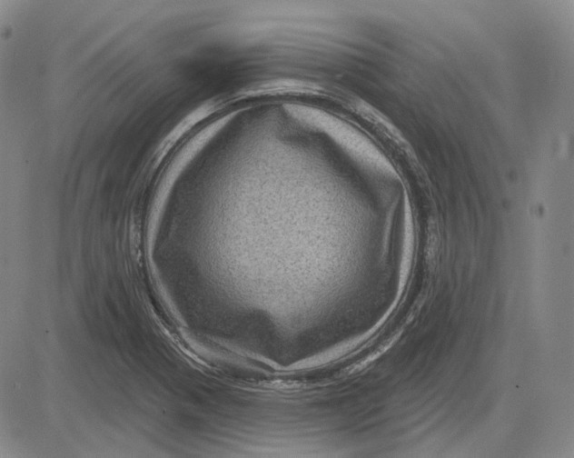 X0000083651321200703051716