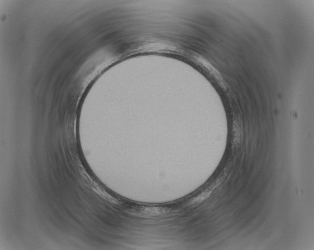 X0000083651322200703051716