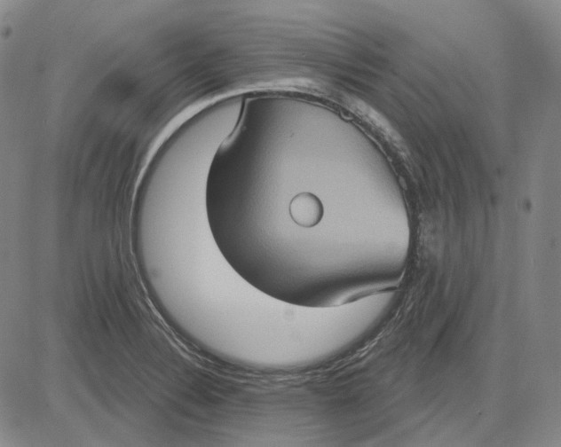 X0000083651324200703051716