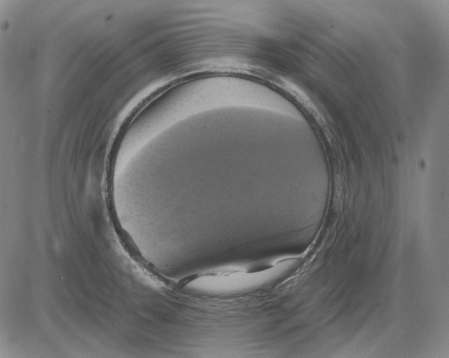 X0000083651331200703051716