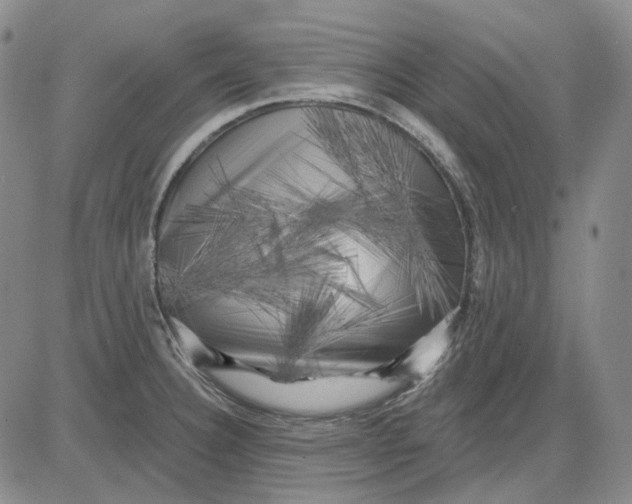 X0000083651332200703051716