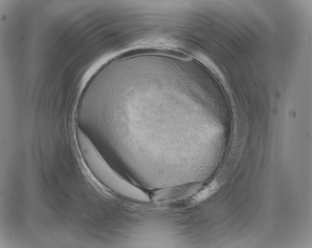 X0000083651344200703051716