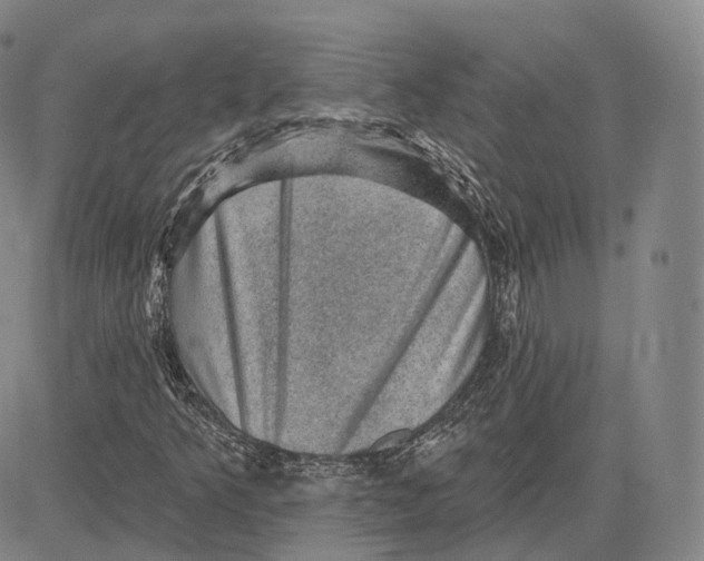 X0000083651349200703051716