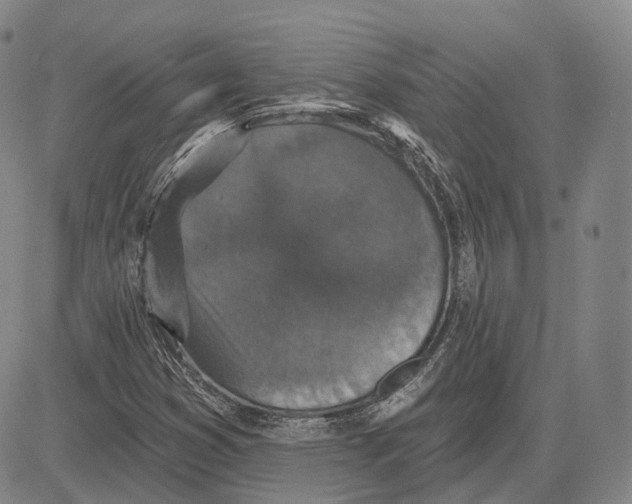 X0000083651353200703051716