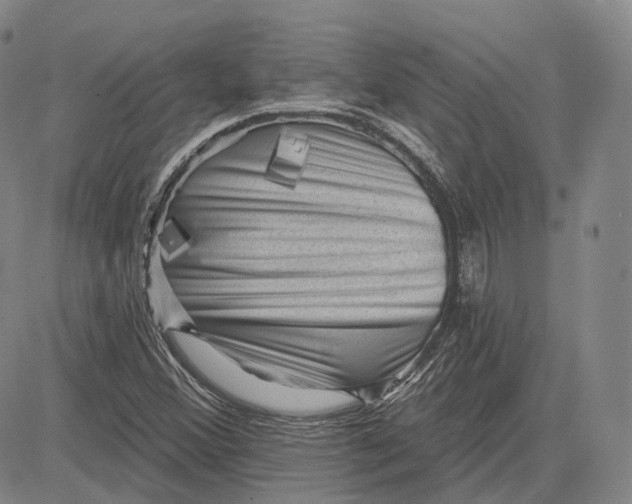 X0000083651356200703051715