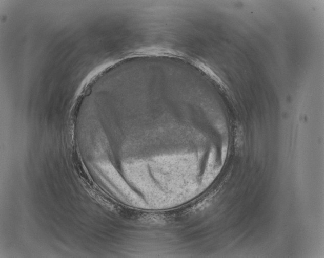 X0000083651358200703051715