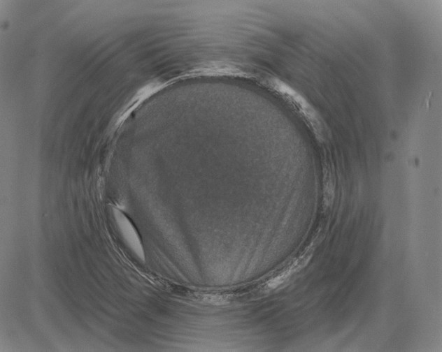 X0000083651361200703051715