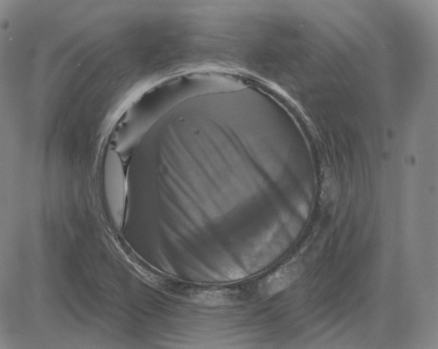 X0000083651367200703051715