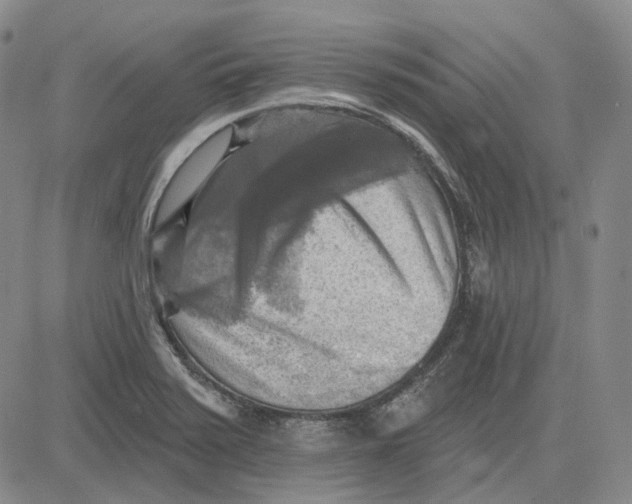 X0000083651371200703051715