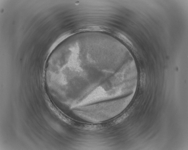 X0000083651378200703051715