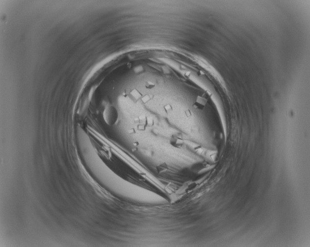 X0000083651380200703051715