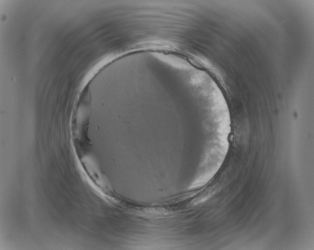 X0000083651383200703051715