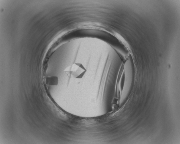 X0000083651384200703051715
