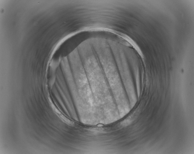 X0000083651388200703051715