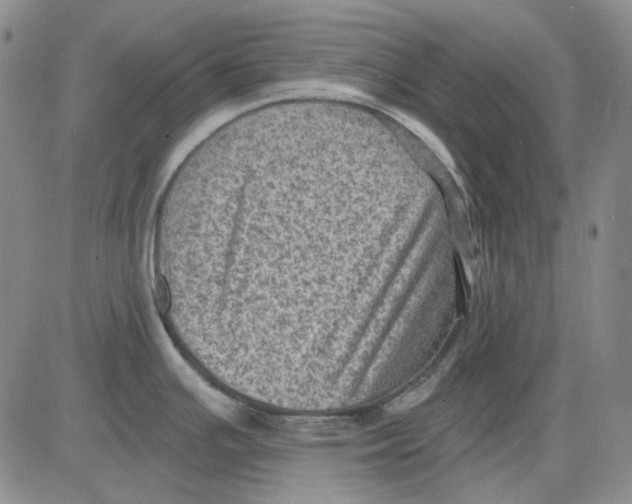 X0000083651391200703051715