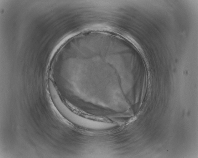 X0000083651392200703051715
