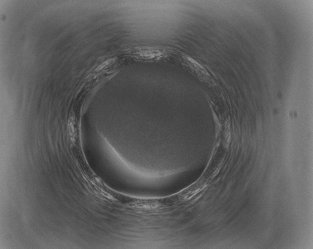 X0000083651394200703051714