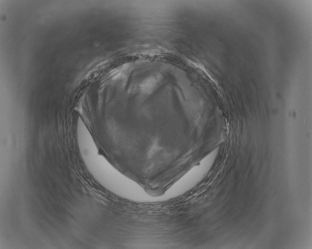 X0000083651399200703051714