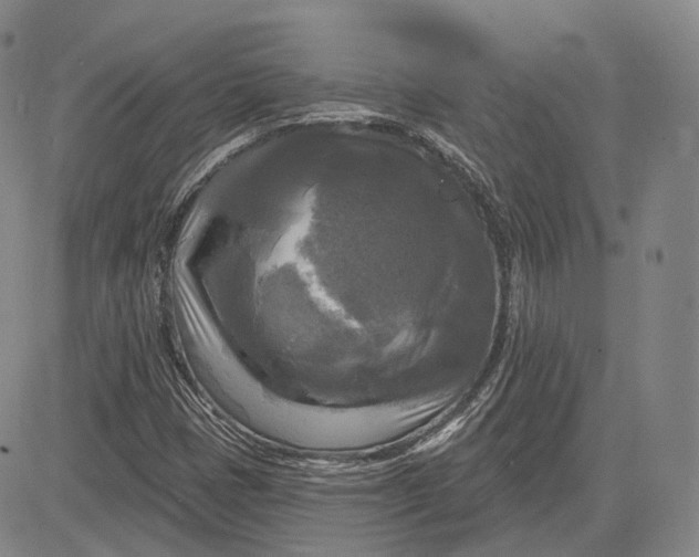 X0000083651401200703051714