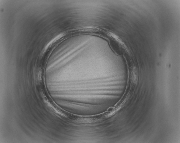 X0000083651402200703051714