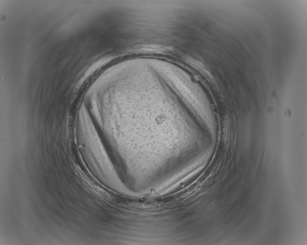 X0000083651404200703051714