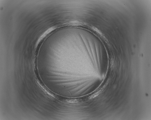 X0000083651410200703051714