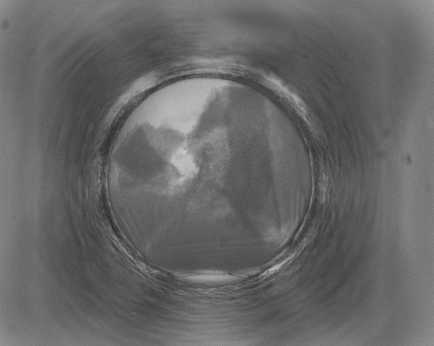 X0000083651411200703051714