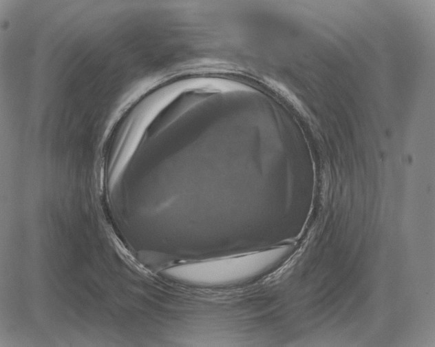 X0000083651413200703051714