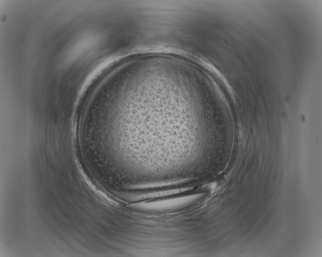 X0000083651416200703051714