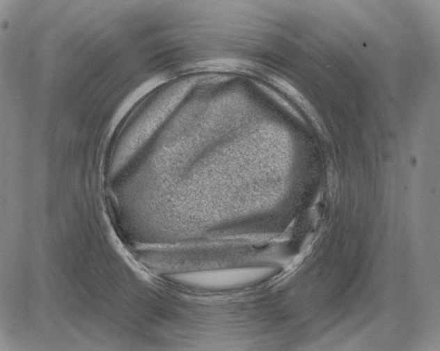 X0000083651426200703051715