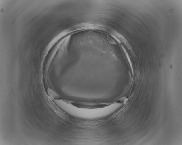 X0000083651427200703051715
