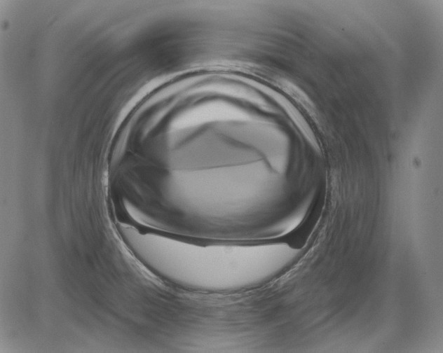 X0000083651428200703051715